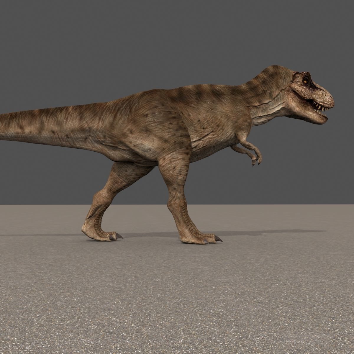 8K JP T REX 3D model_90