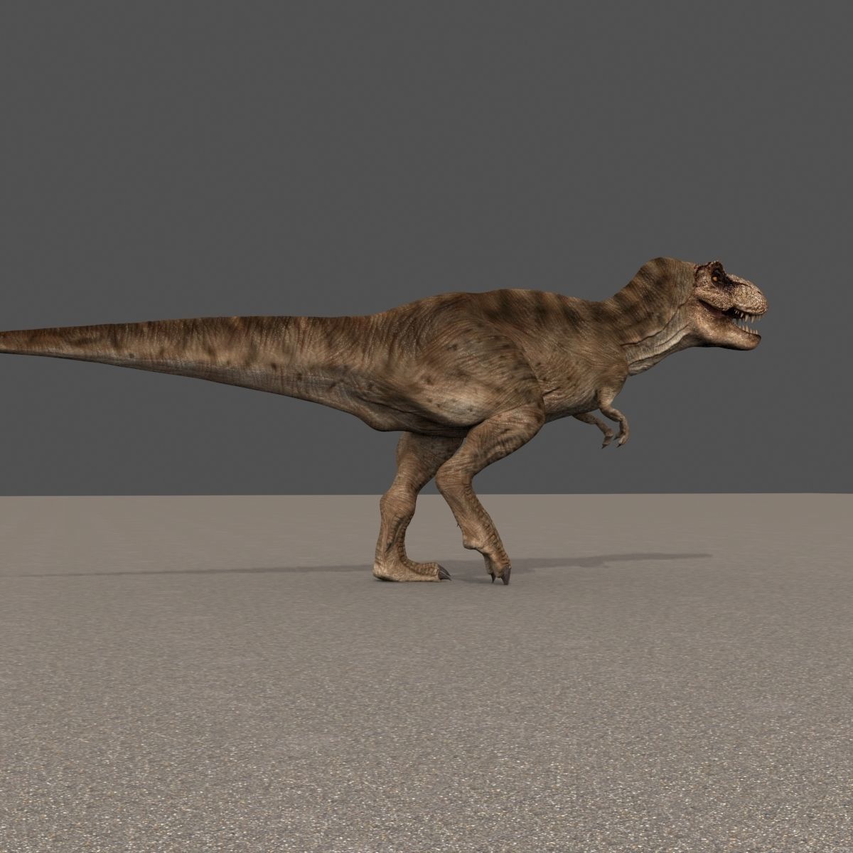 8K JP T REX 3D model_70