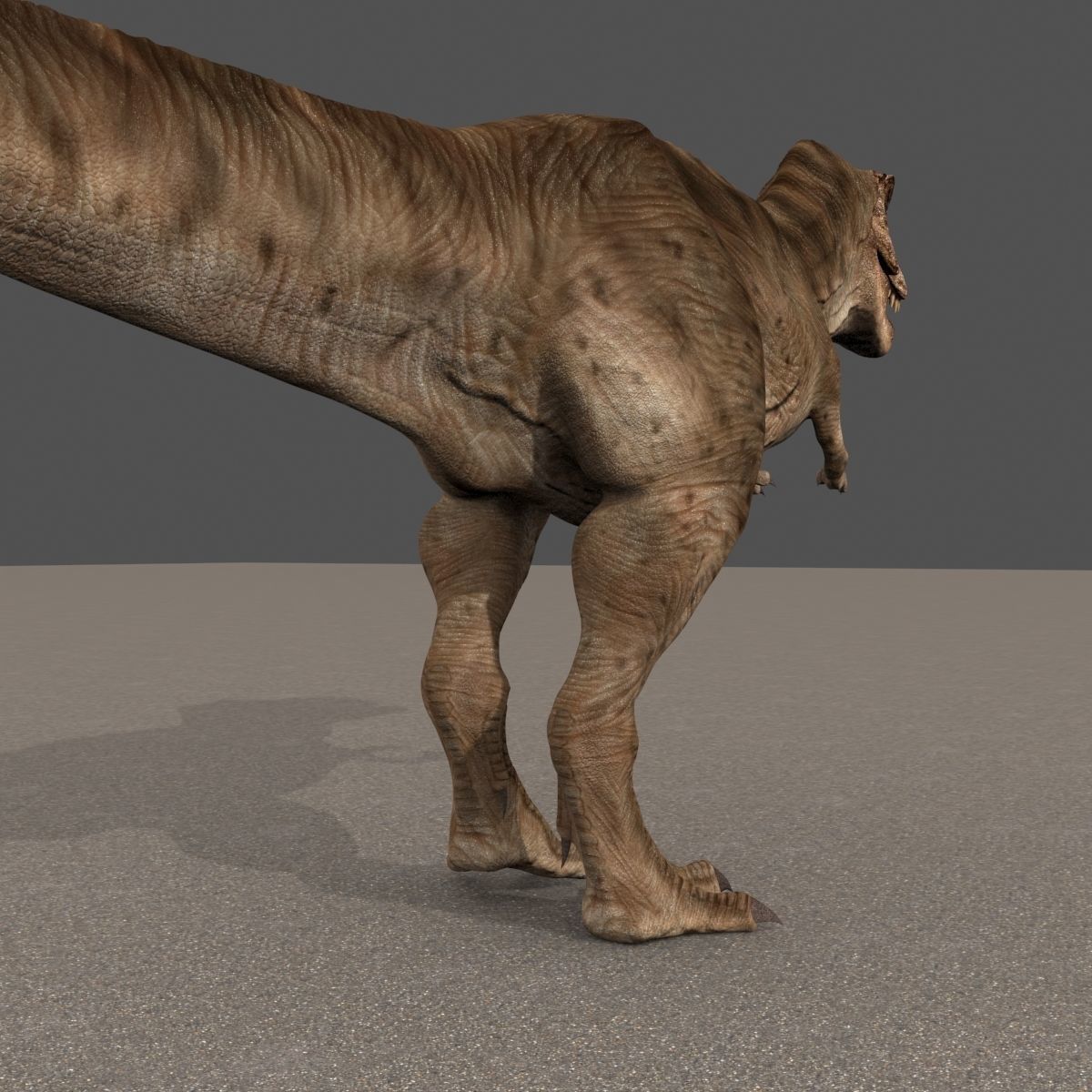 8K JP T REX 3D model_37