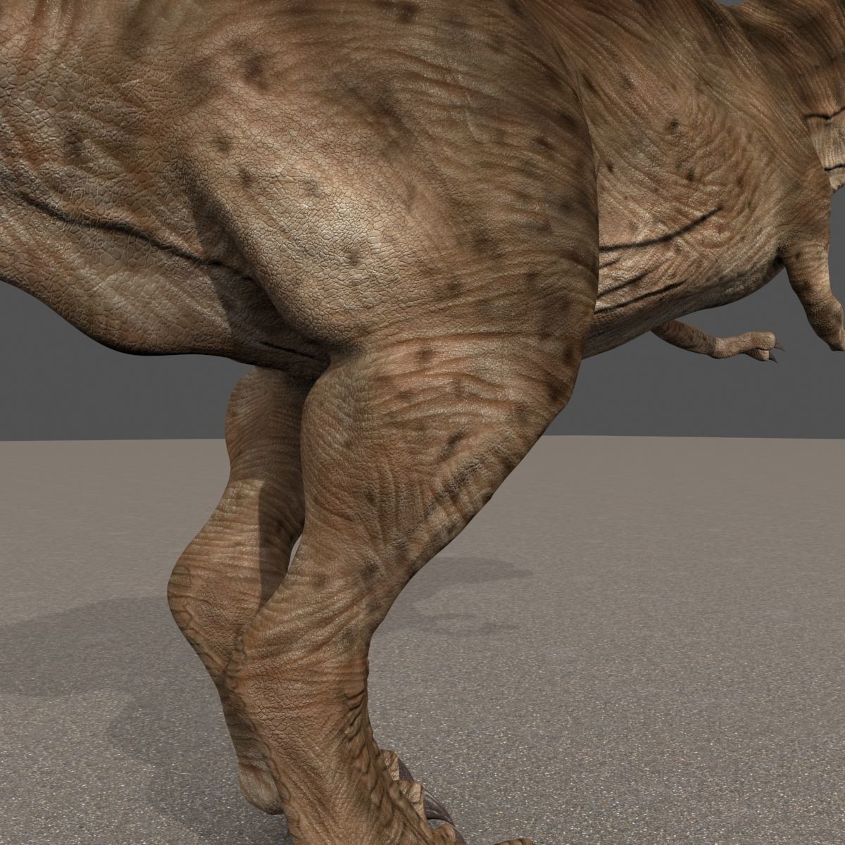 8K JP T REX 3D model_28