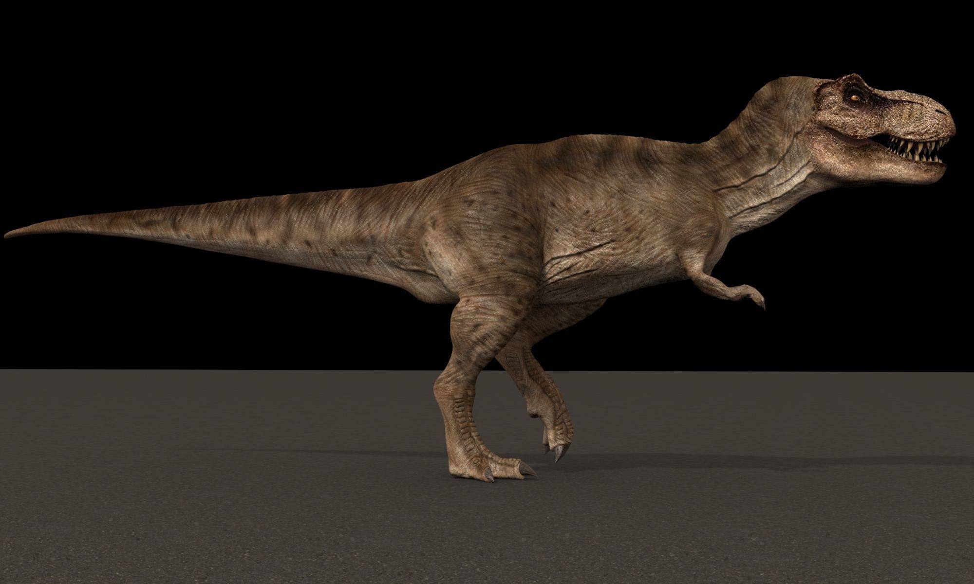 8K JP T REX 3D model_50