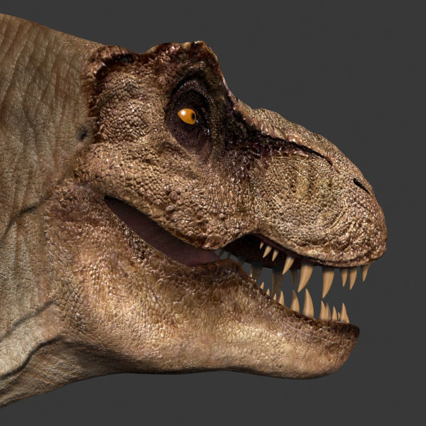 8K JP T REX 3D model_56