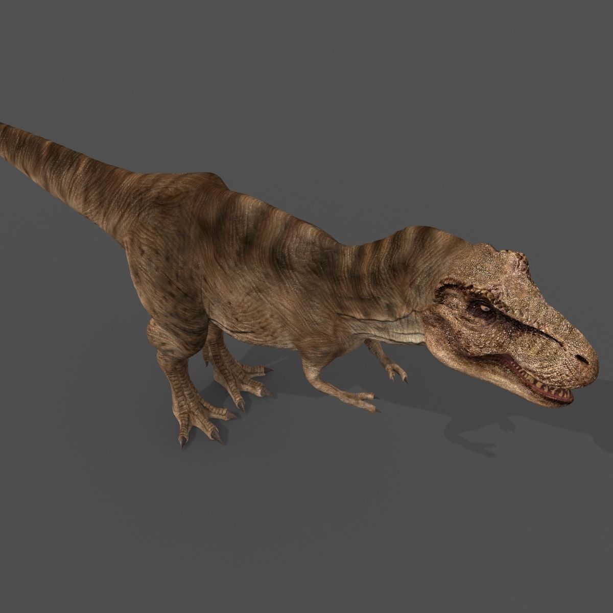 8K JP T REX 3D model_10