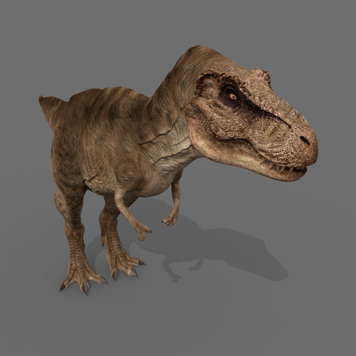 8K JP T REX 3D model_15