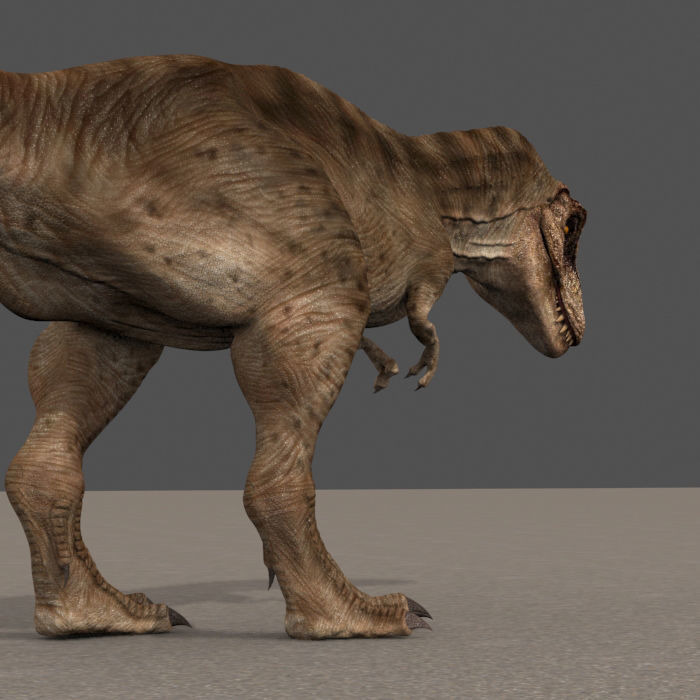 8K JP T REX 3D model_87