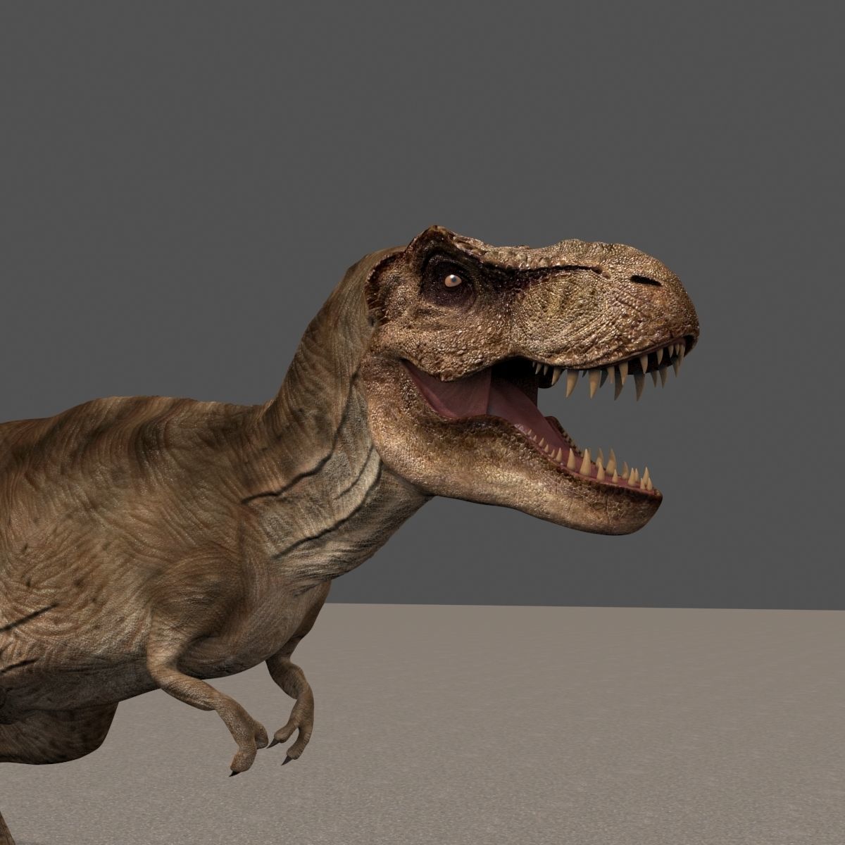 8K JP T REX 3D model_72