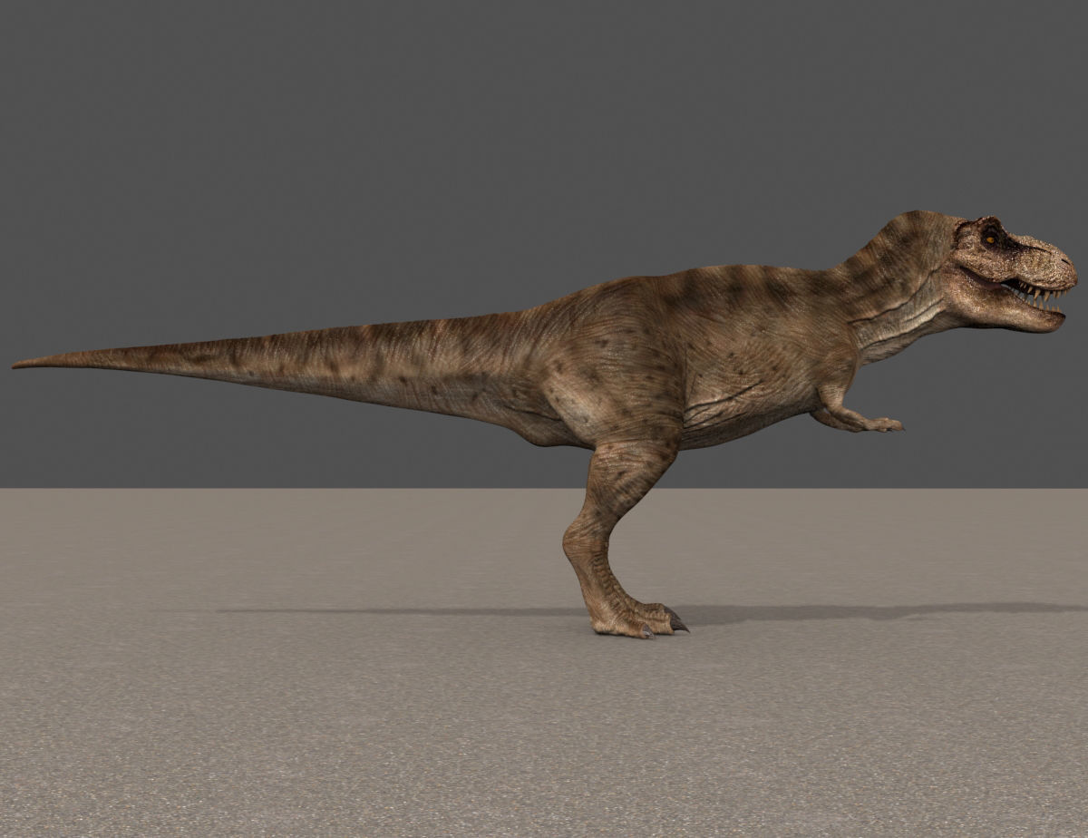 8K JP T REX 3D model_89
