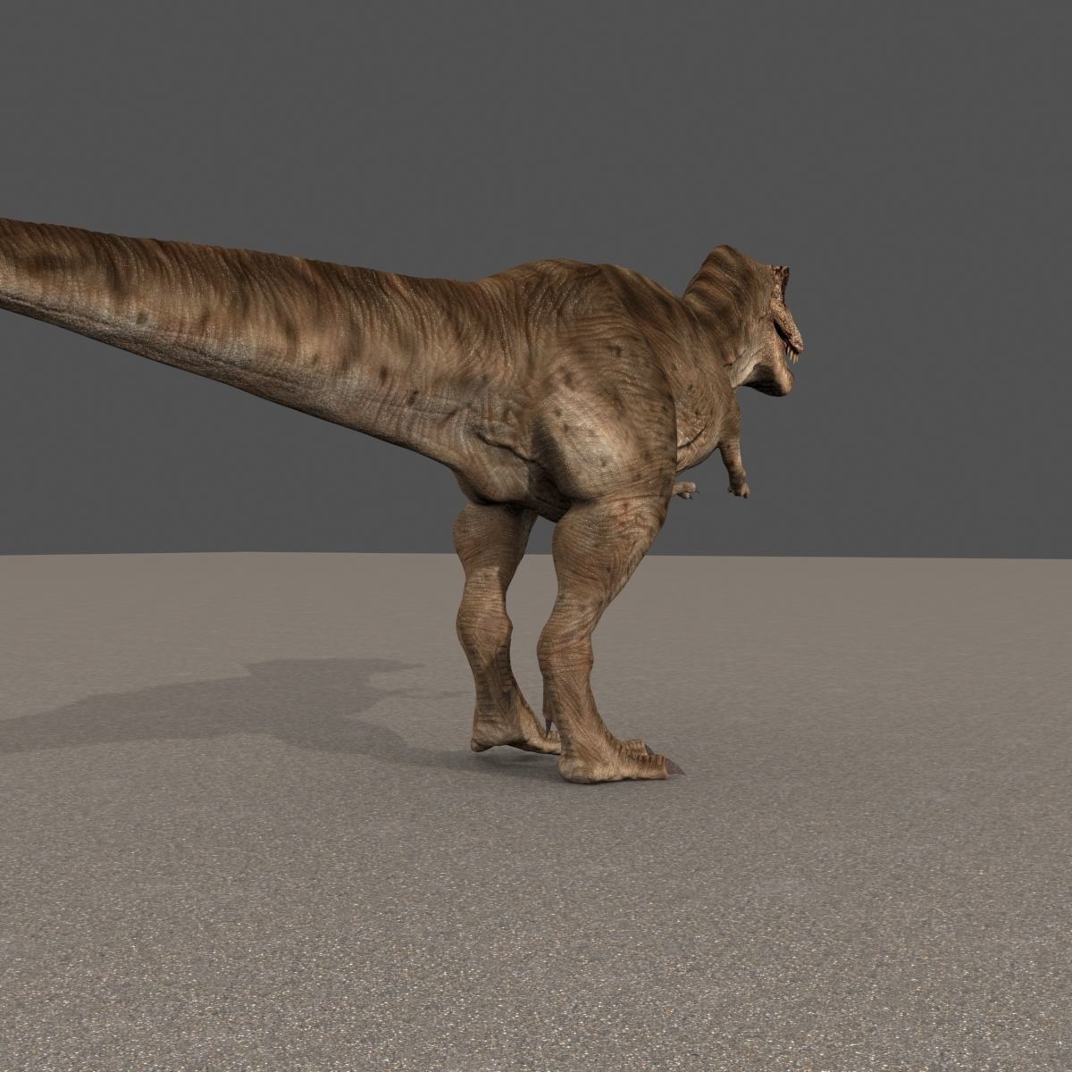 8K JP T REX 3D model_33