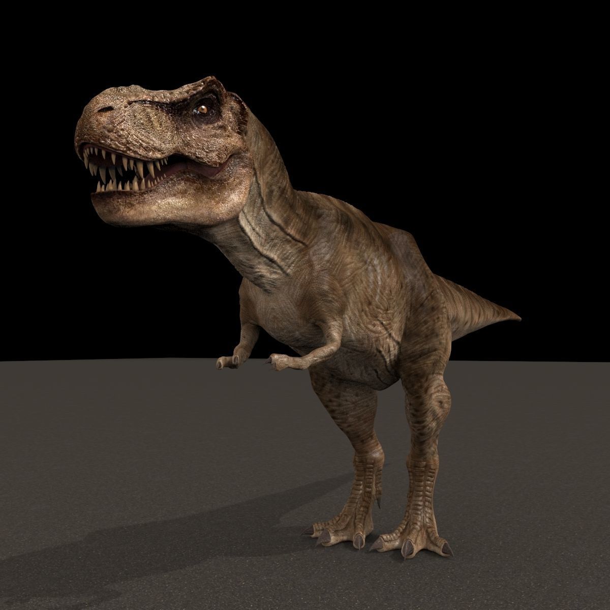 8K JP T REX 3D model_83
