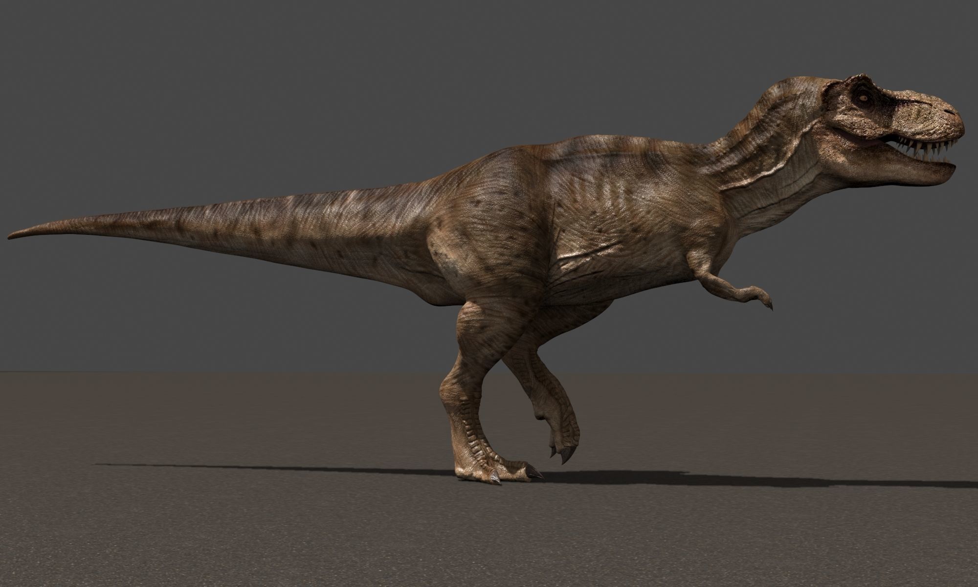 8K JP T REX 3D model_69