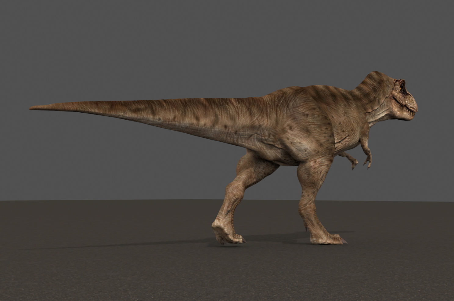 8K JP T REX 3D model_106