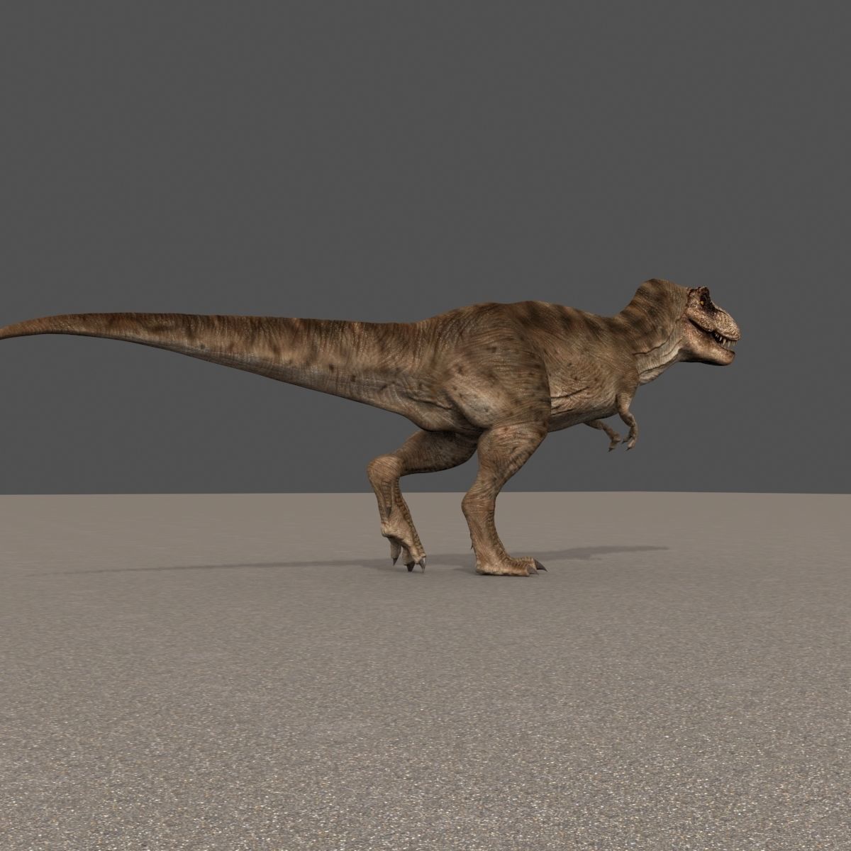 8K JP T REX 3D model_46
