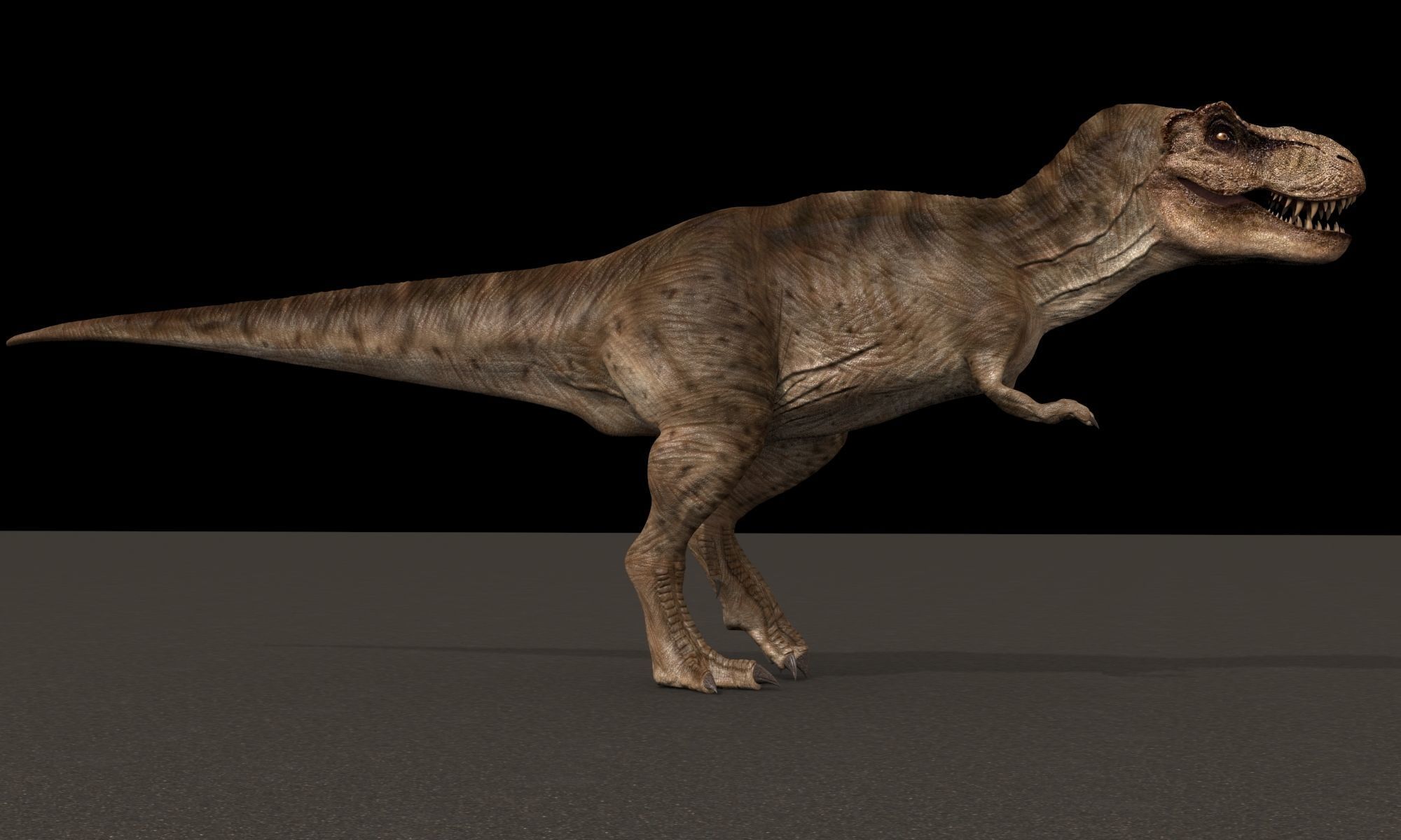8K JP T REX 3D model_34