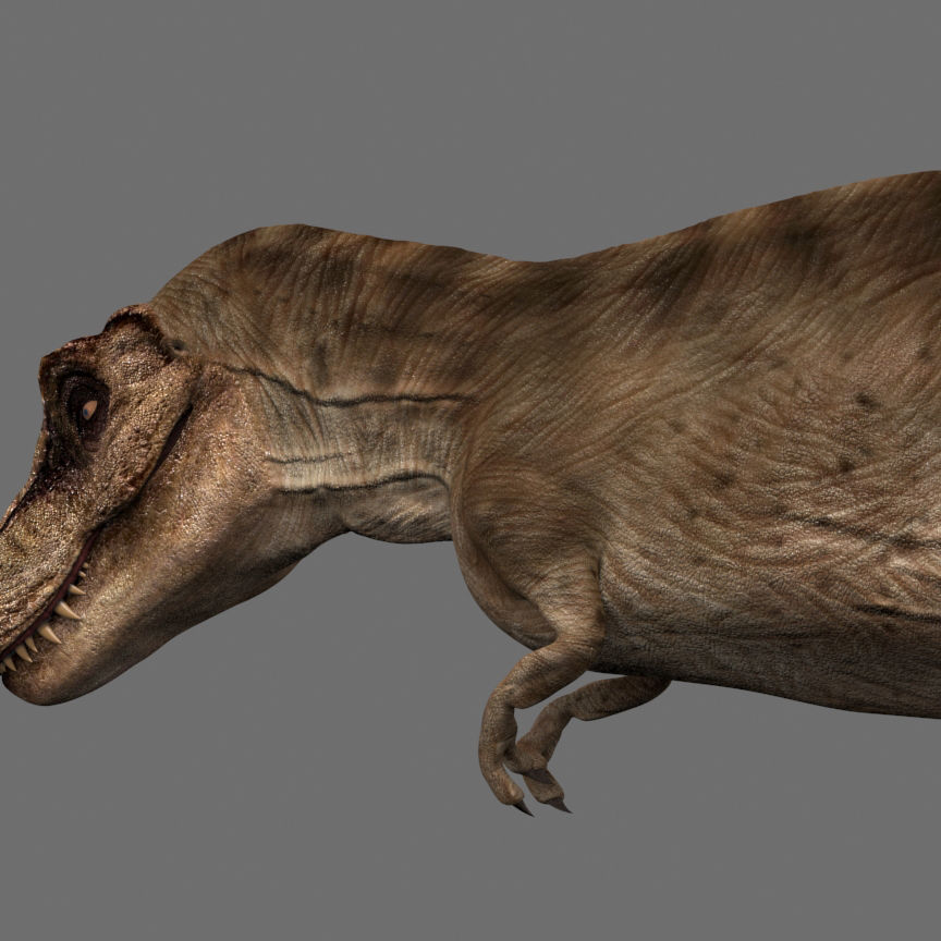 8K JP T REX 3D model_49