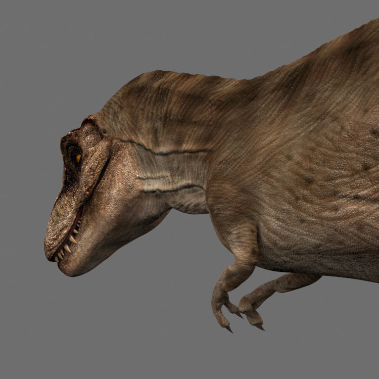 8K JP T REX 3D model_74