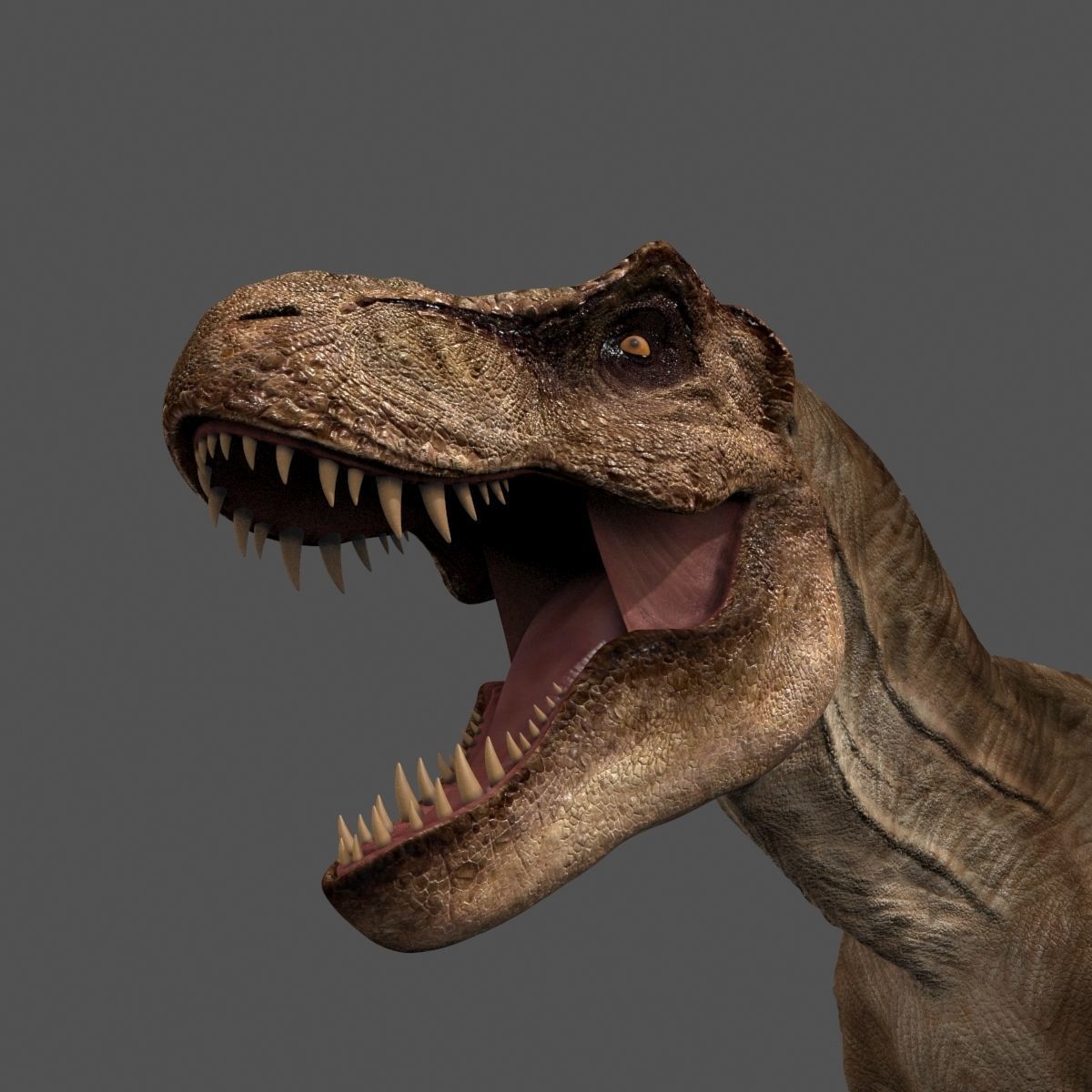 8K JP T REX 3D model_22
