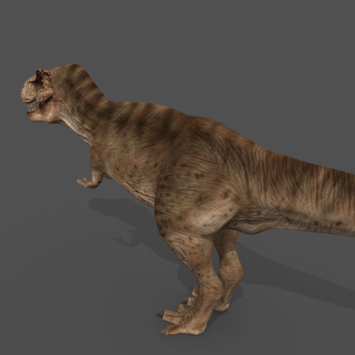 8K JP T REX 3D model_29