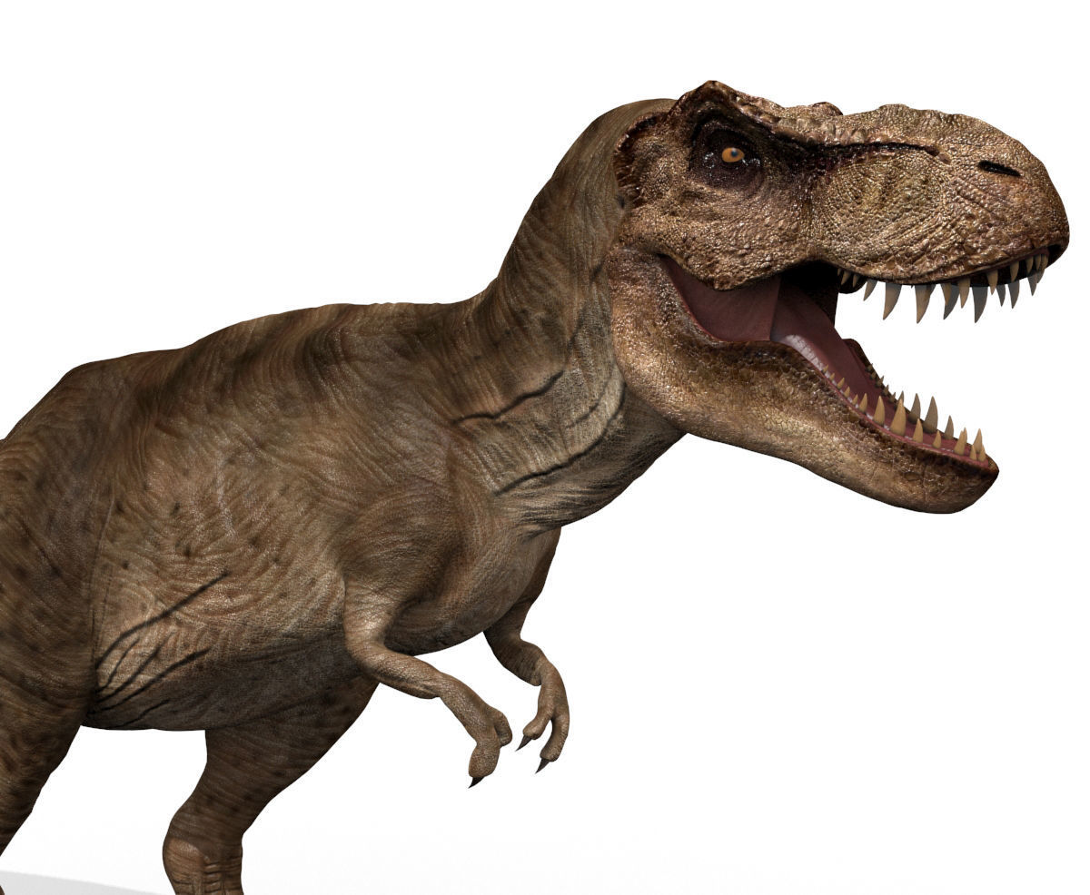 8K JP T REX 3D model_21