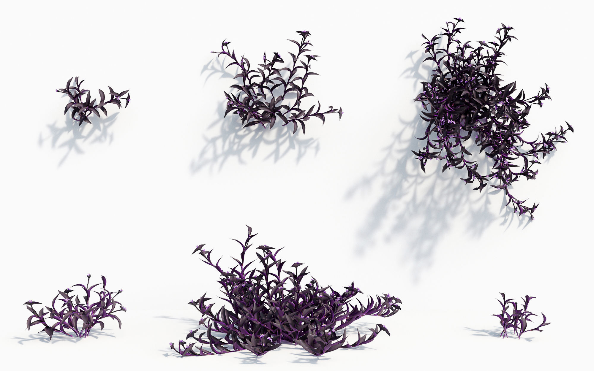 Orchid Collection - Include GrowFX and Mesh file 3D model_41