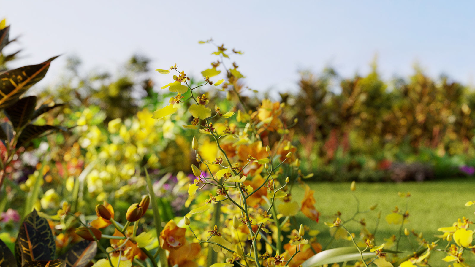 Orchid Collection - Include GrowFX and Mesh file 3D model_4