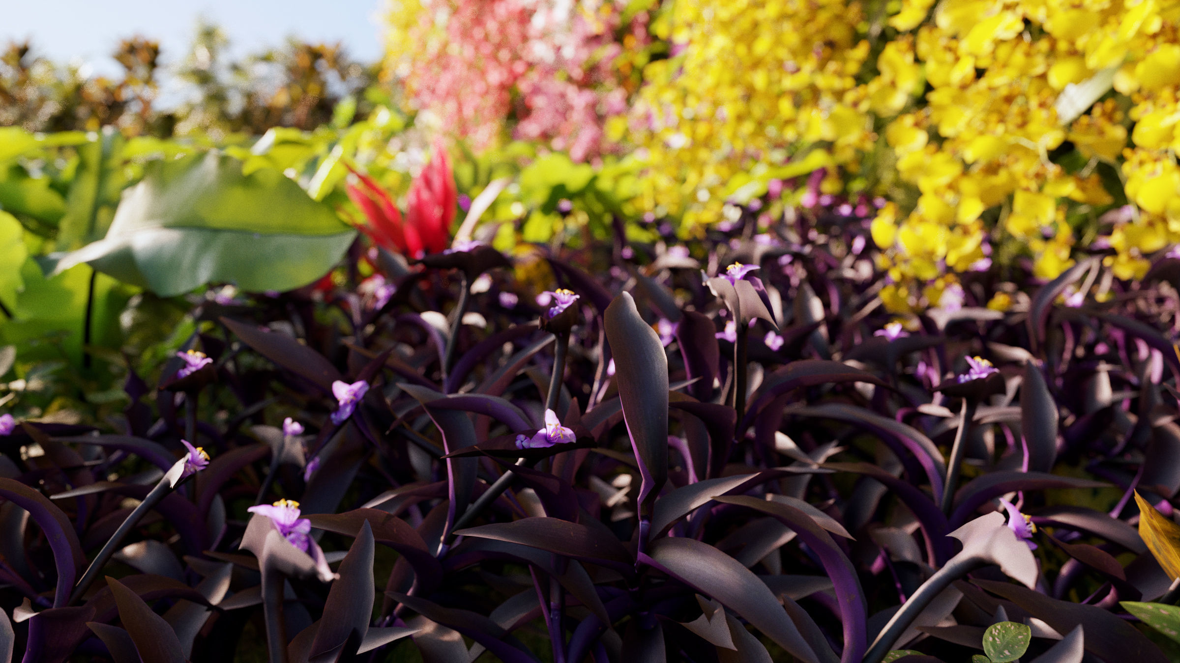 Orchid Collection - Include GrowFX and Mesh file 3D model_11