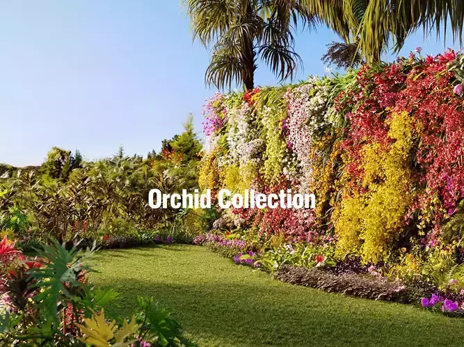 Orchid Collection - Include GrowFX and Mesh file 3D model Orchid Collection - Include GrowFX and Mesh file 3D model