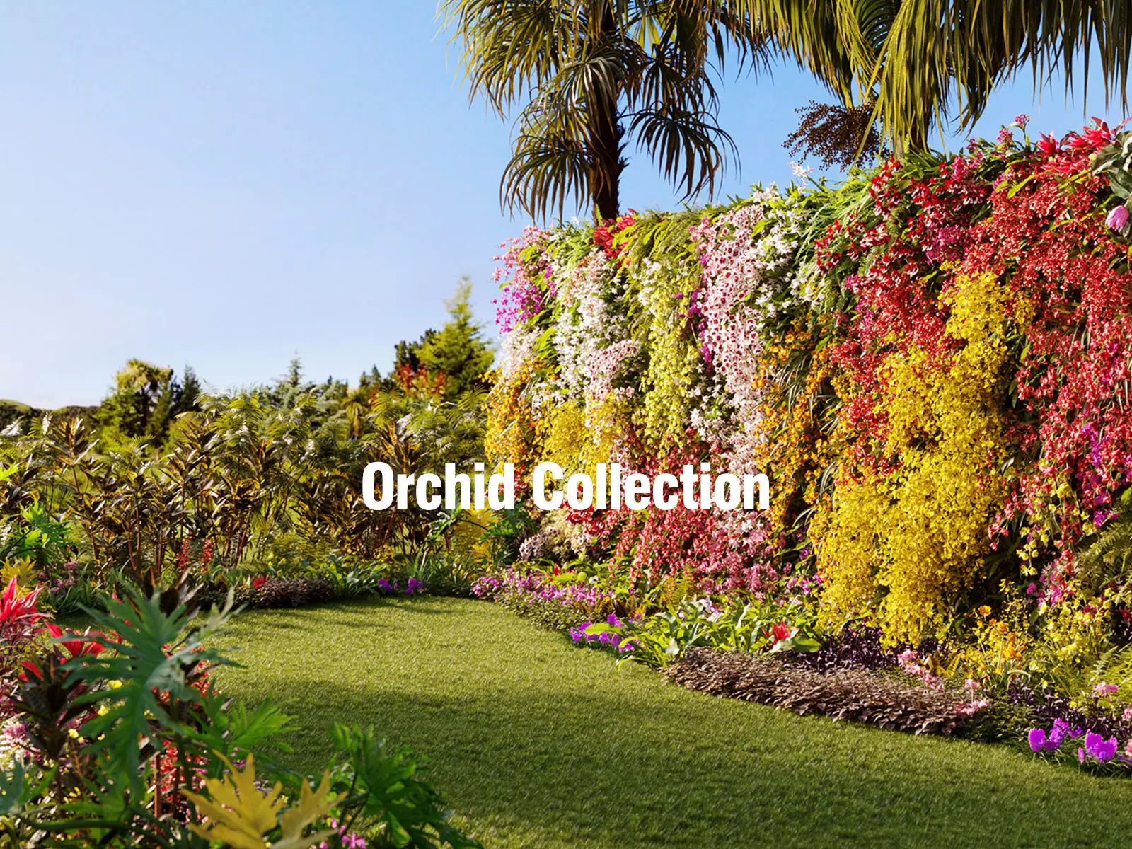 Orchid Collection - Include GrowFX and Mesh file 3D model_0