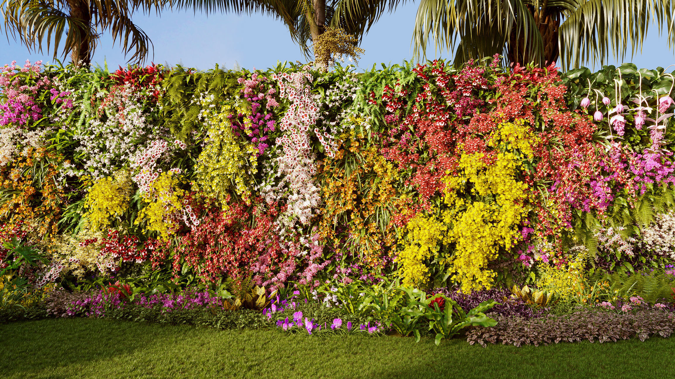 Orchid Collection - Include GrowFX and Mesh file 3D model_2