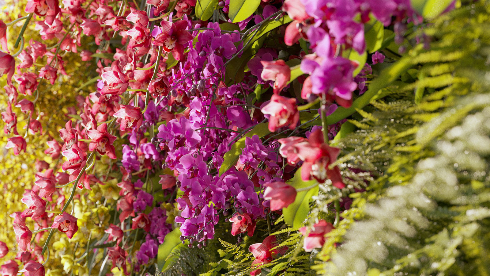 Orchid Collection - Include GrowFX and Mesh file 3D model_7