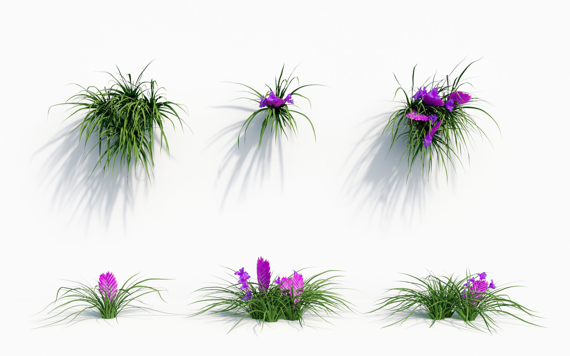 Orchid Collection - Include GrowFX and Mesh file 3D model_40