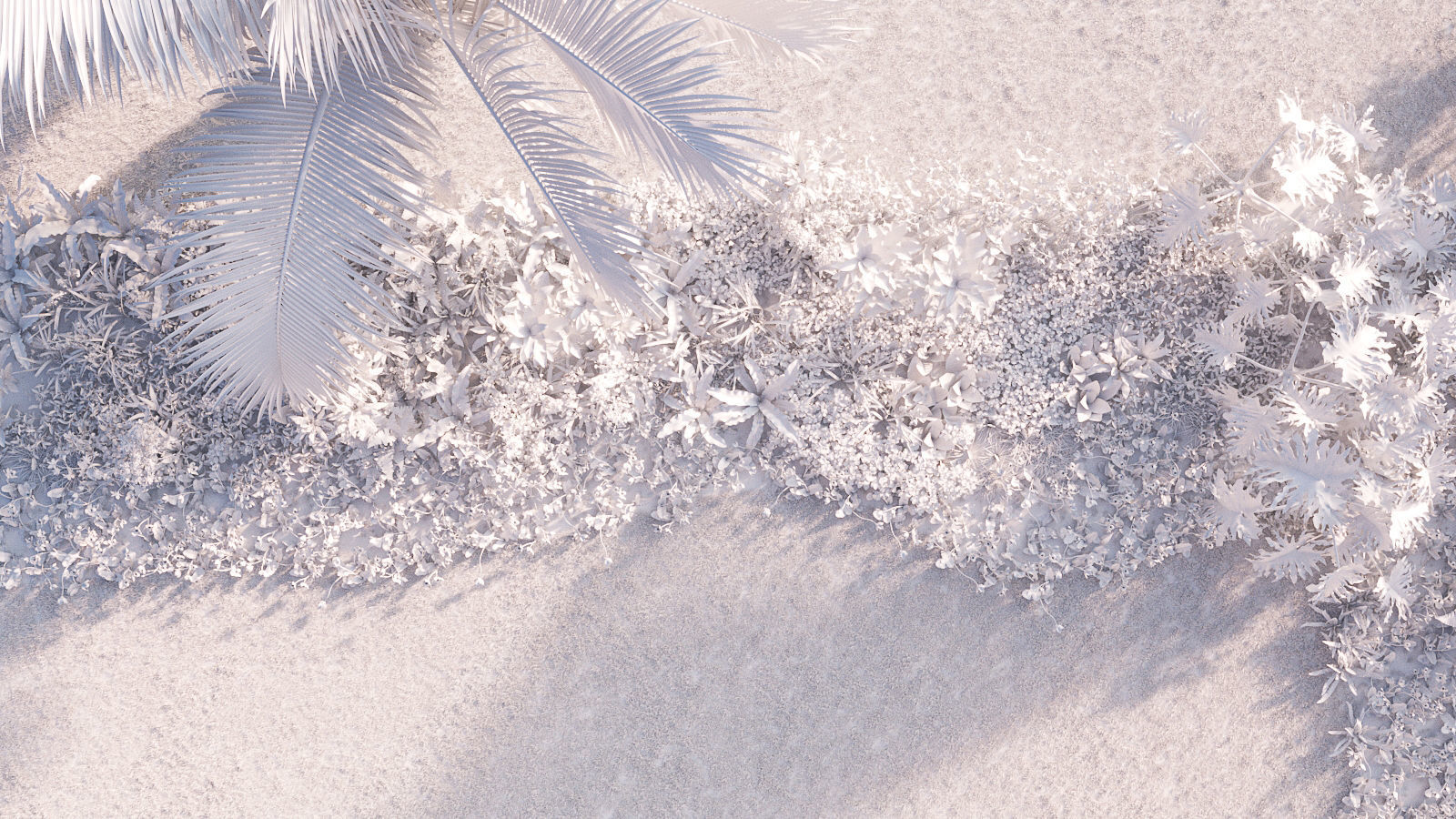 Orchid Collection - Include GrowFX and Mesh file 3D model_6