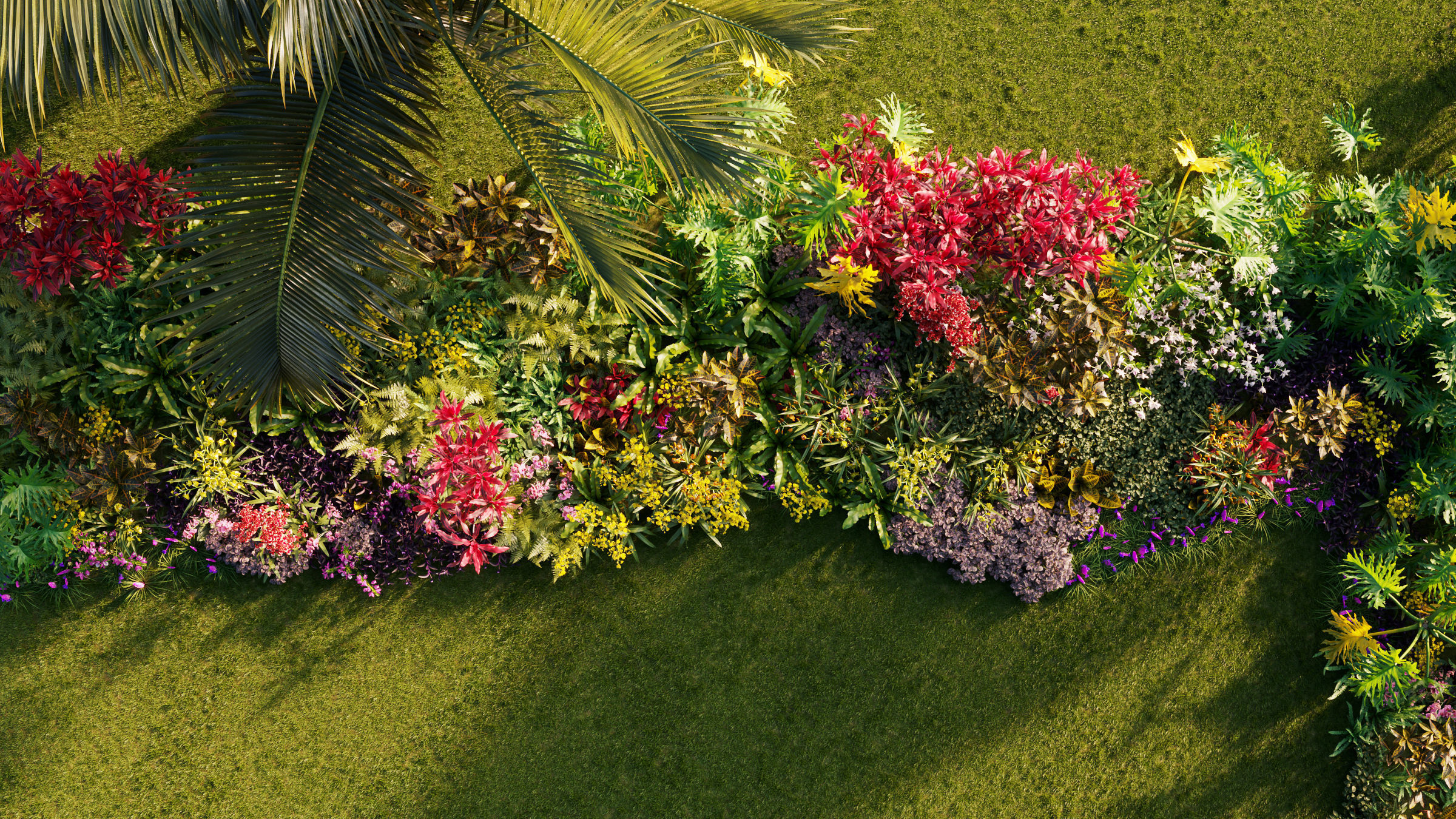 Orchid Collection - Include GrowFX and Mesh file 3D model_5