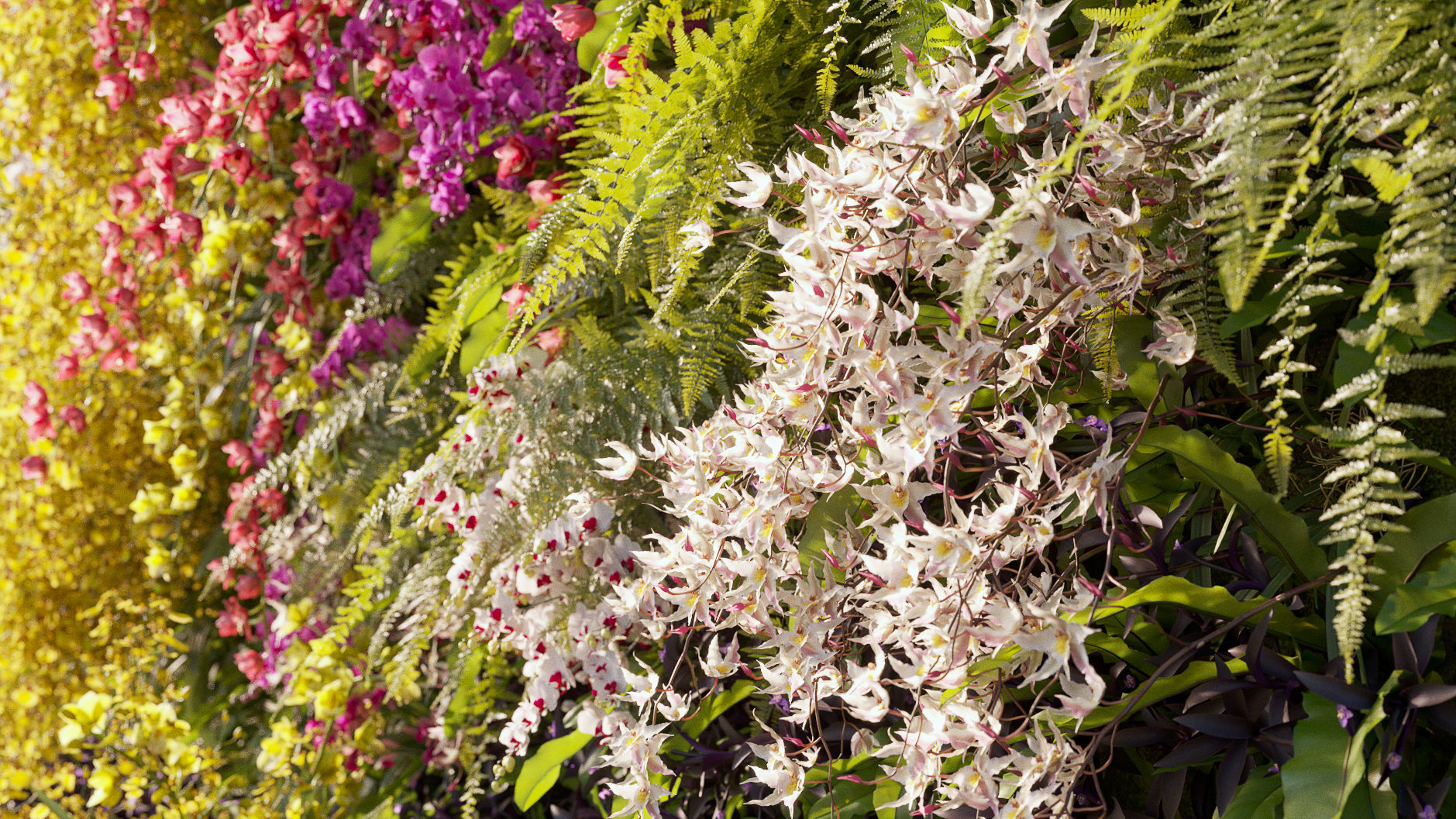 Orchid Collection - Include GrowFX and Mesh file 3D model_10