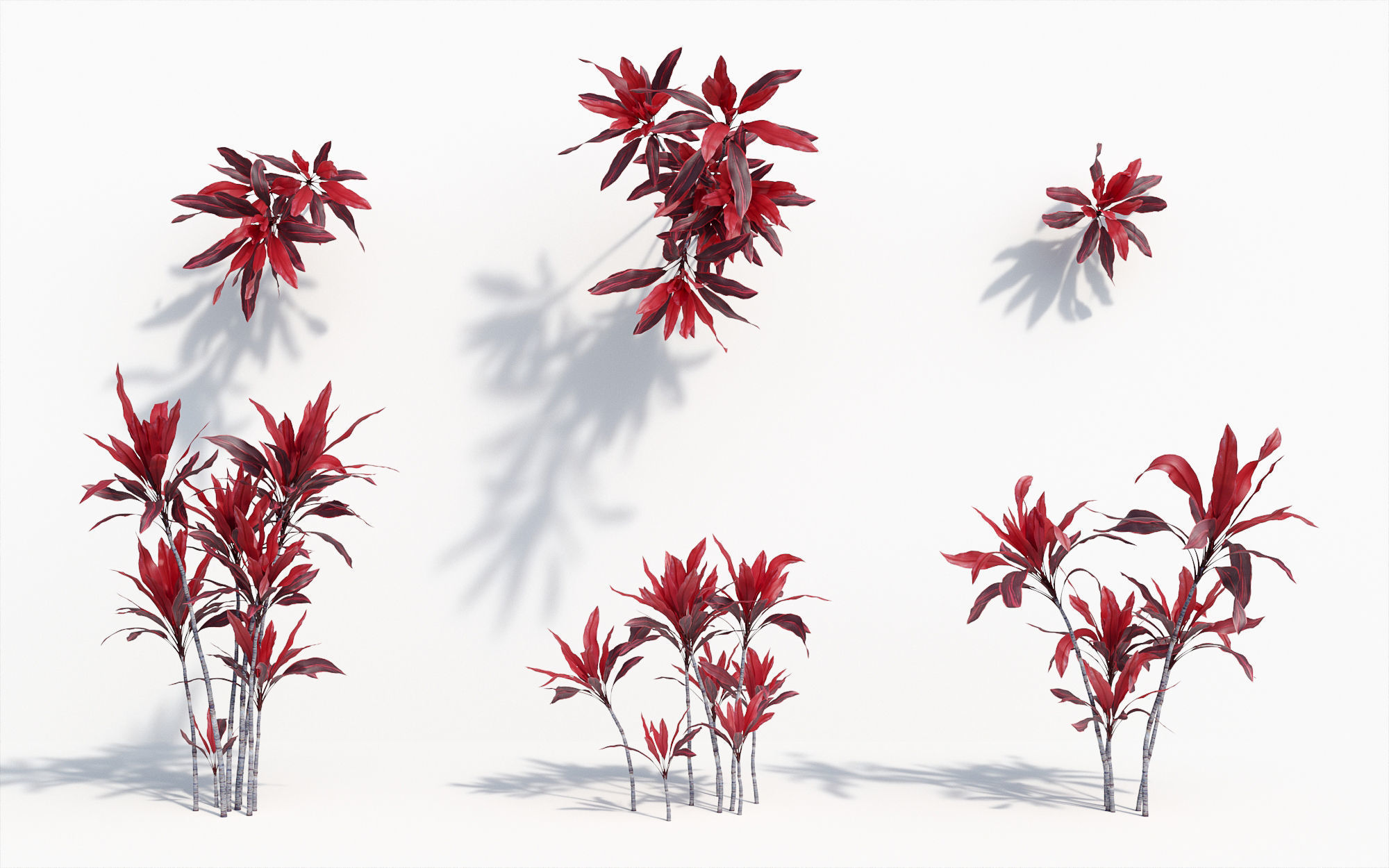 Orchid Collection - Include GrowFX and Mesh file 3D model_16