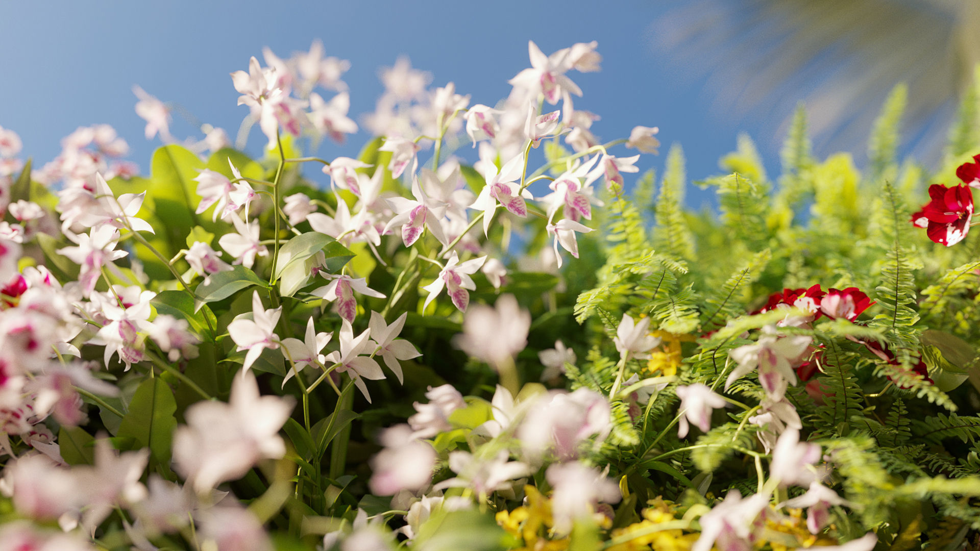 Orchid Collection - Include GrowFX and Mesh file 3D model_3