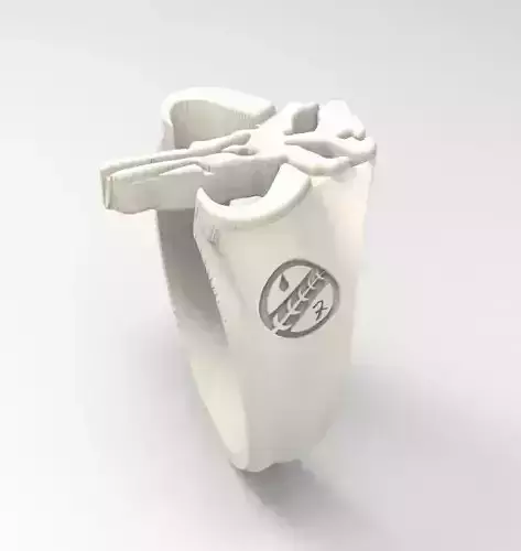 Mandalorian skull ring