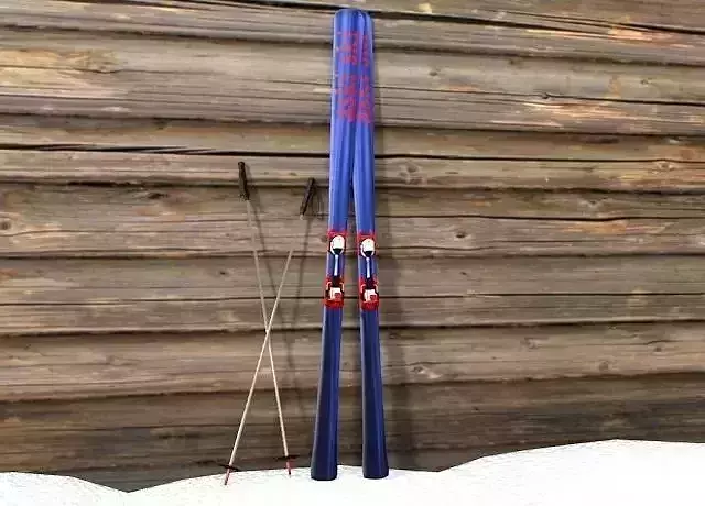 Ski and Ski Pole