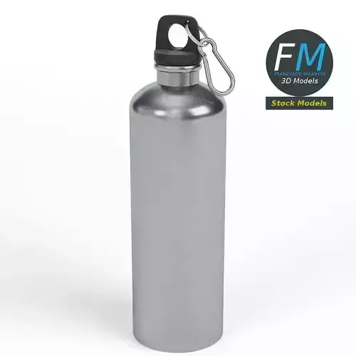 Reusable water bottle