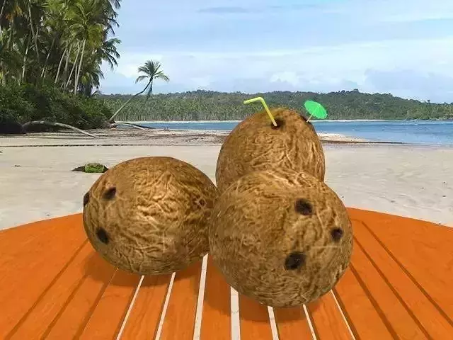 Coconuts and Table