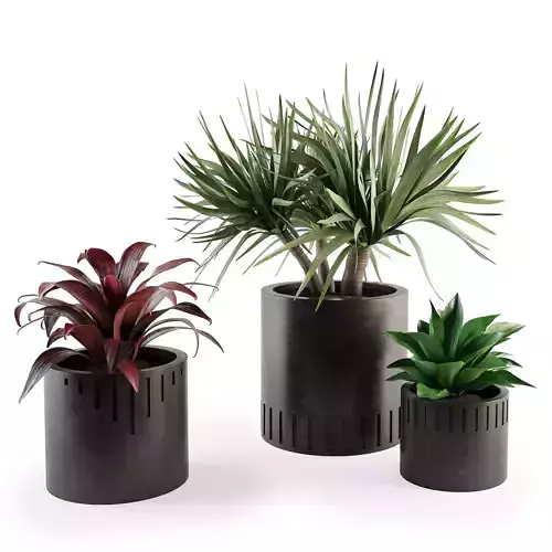 Set plants W01