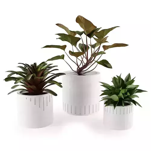 Set plants w02