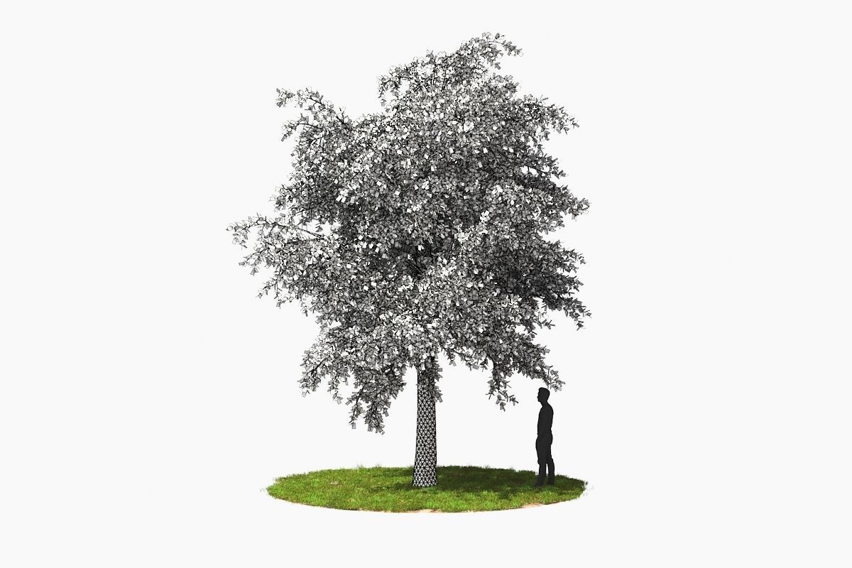 Wind Tree002 Animation 3D model_2