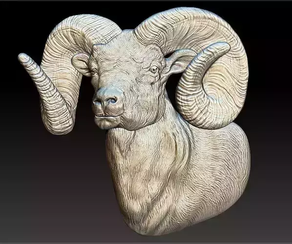 Ram - relief - 2019