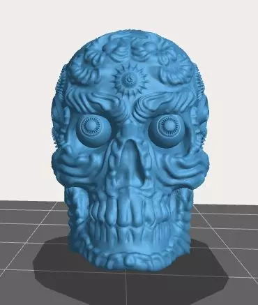 Human skeleton Free 3D print model
