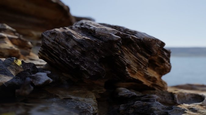 Rocks piece of wood floating in water Low-poly 3D model