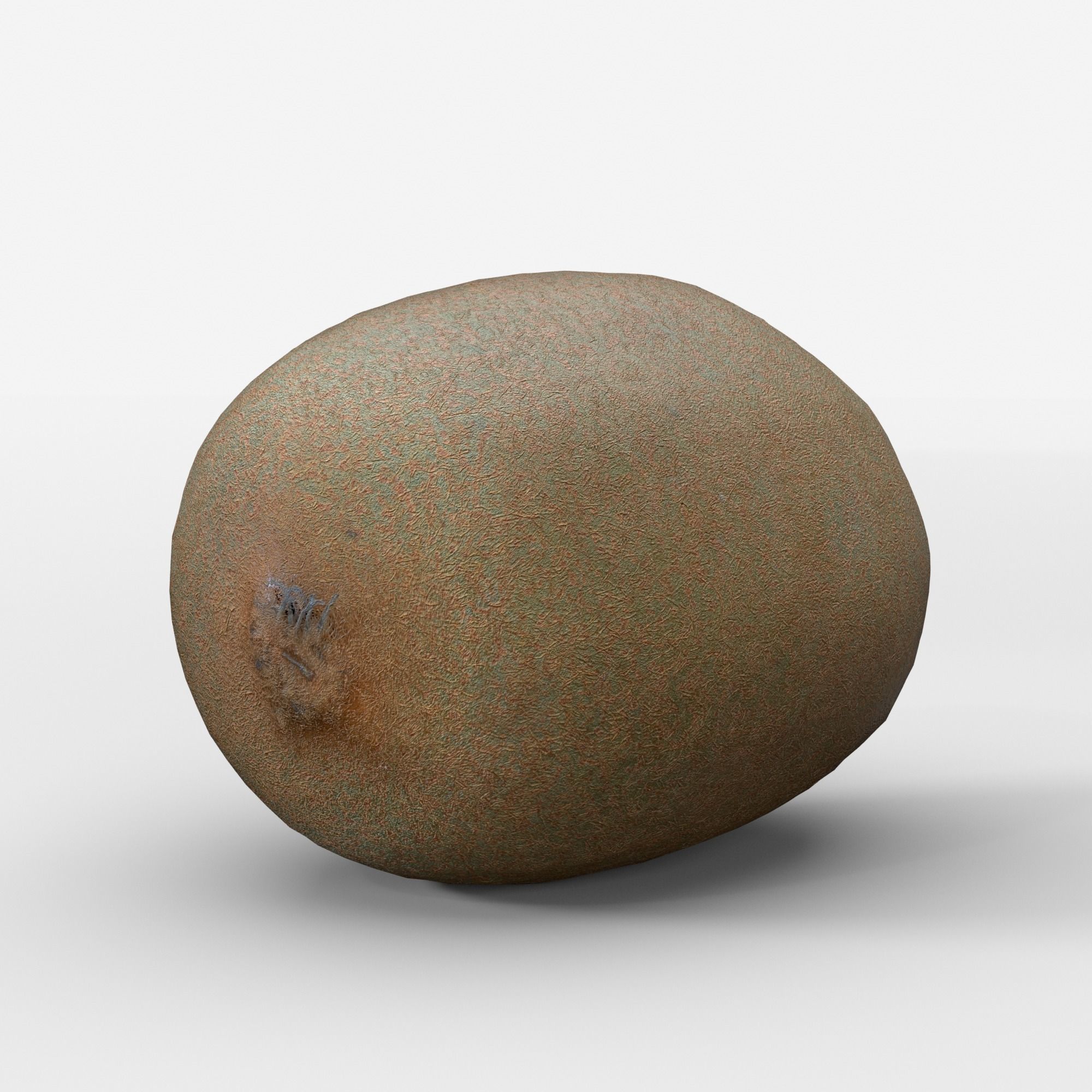 Green Kiwi Fruit 3D model photoscan Low-poly 3D model_3