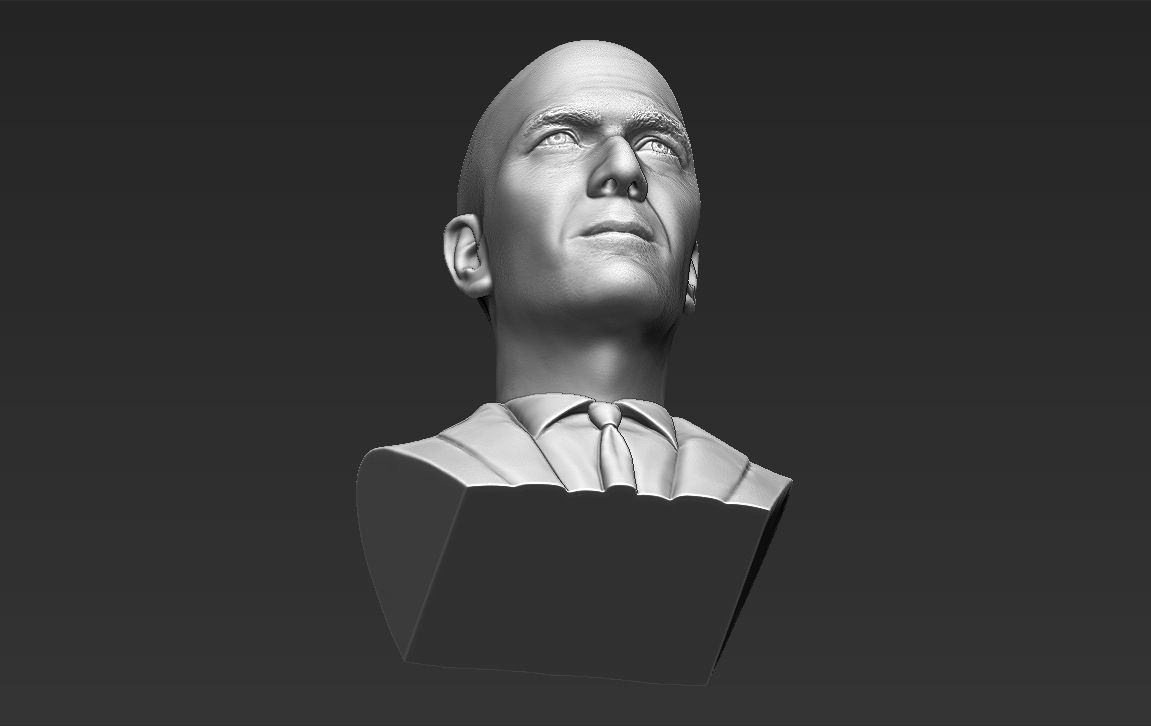 Zinedine Zidane bust 3D printing ready stl obj formats 3D print model_20