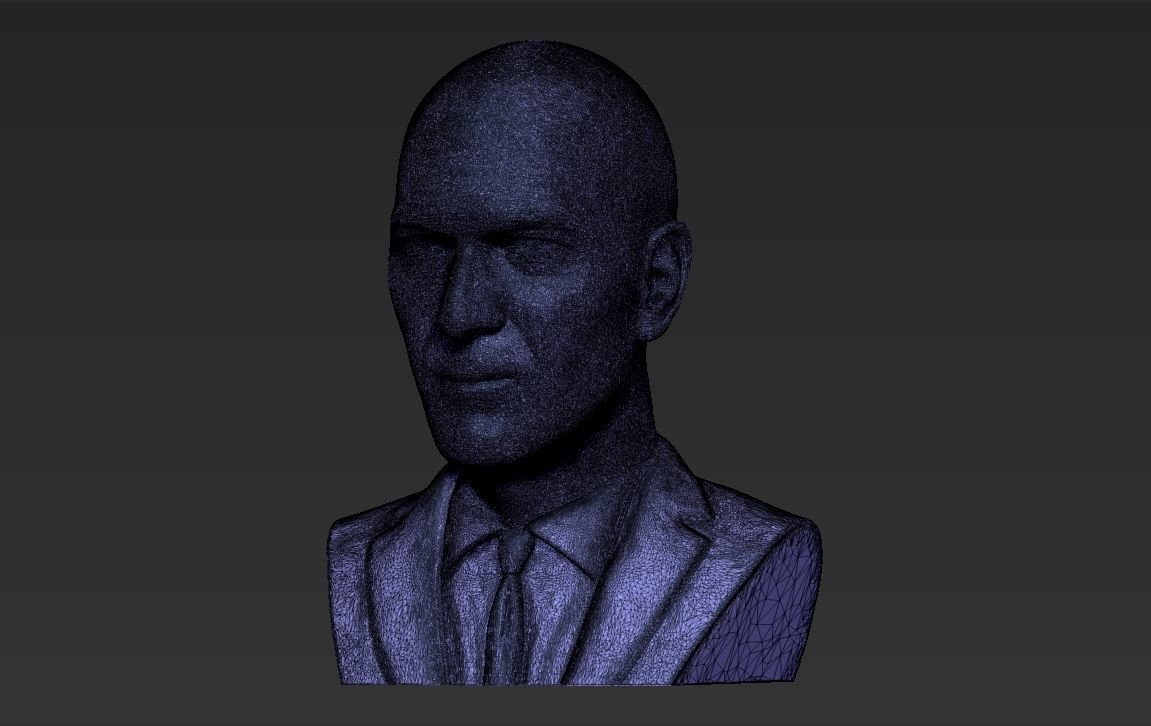 Zinedine Zidane bust 3D printing ready stl obj formats 3D print model_24