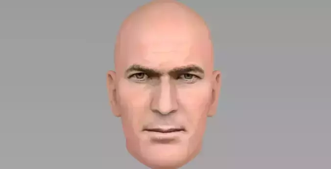Zinedine Zidane 3D model