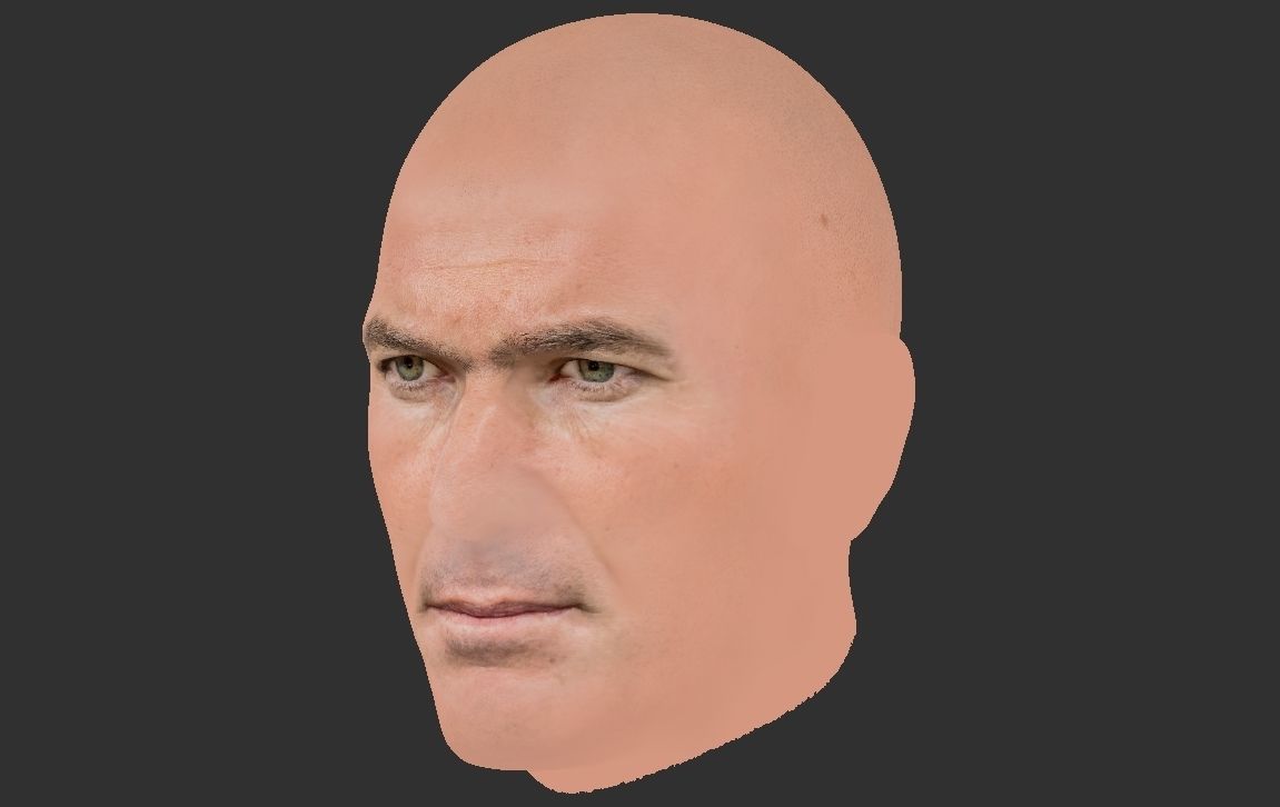 Zinedine Zidane 3D model_17